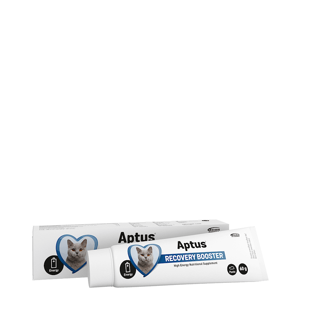 Recovery booster cat 60 g