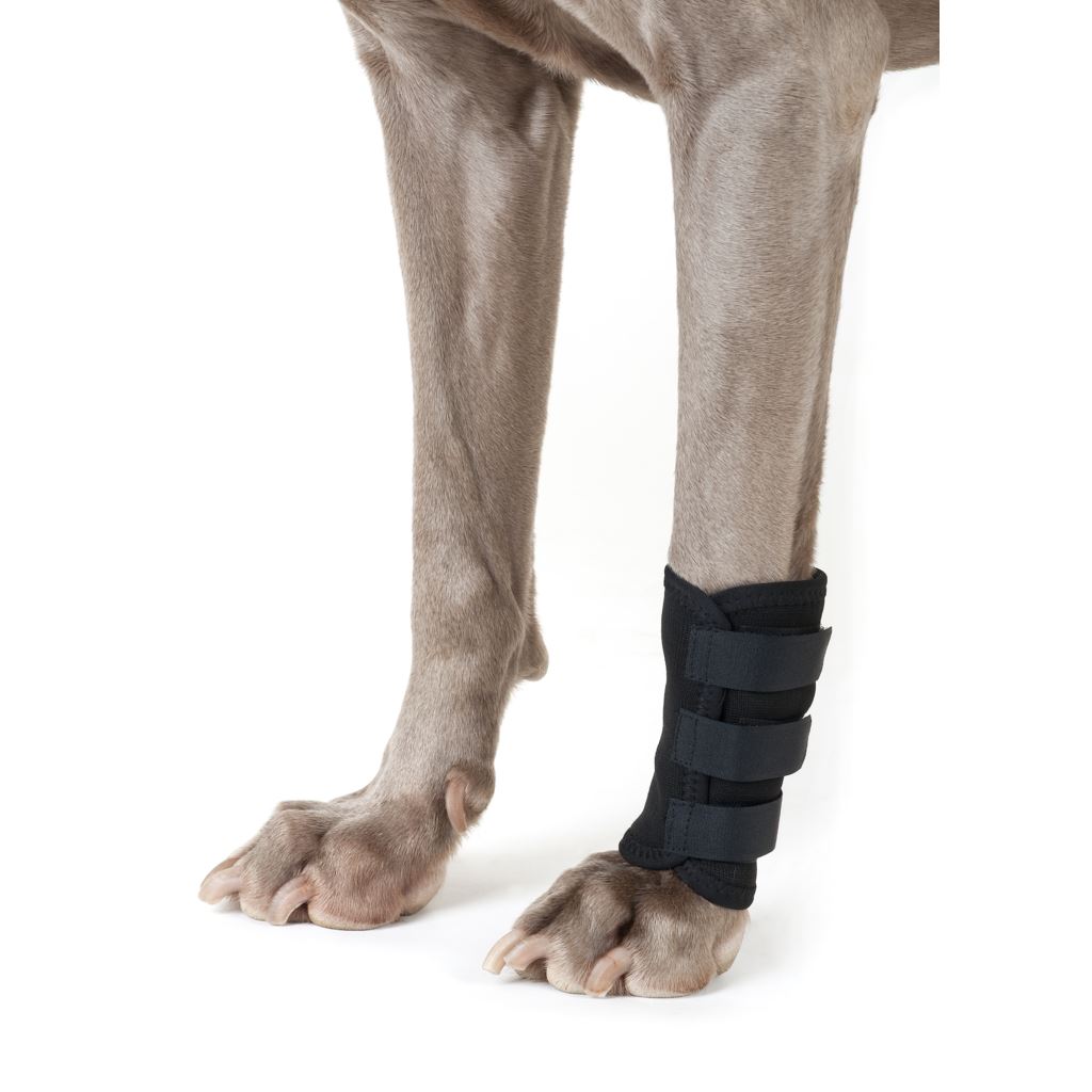 Back On Track Hundbenskydd Svart L 1 st