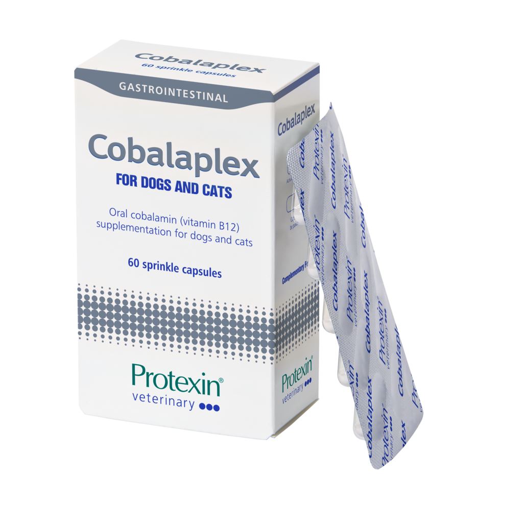 Protexin Cobalaplex Dogs & Cats 60 kapslar