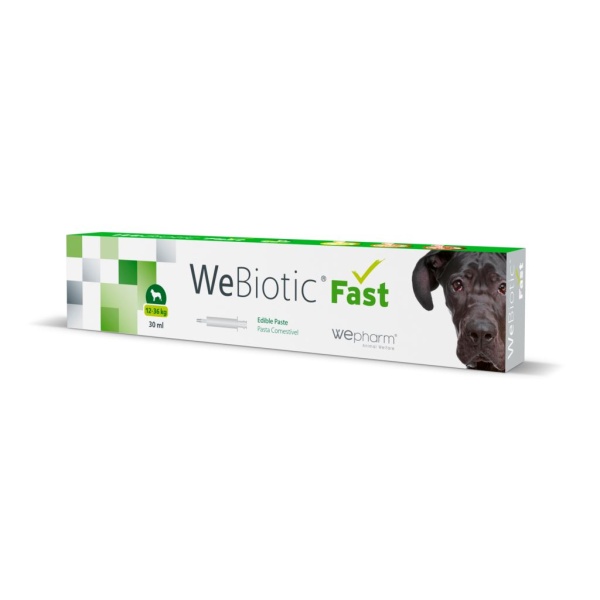 Wepharm WeBiotic Fast Oral Pasta (12-36 kg) 30 ml