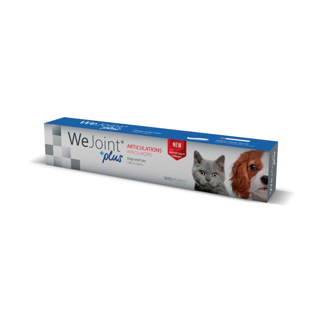 Wepharm WeJoint Plus Paste 30 ml