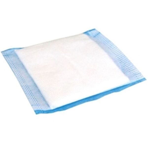 Evercare Absorberande Sterilt Förband 10x20 cm 1 st