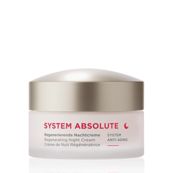 Annemarie Börlind System Absolute Night Cream 50 ml